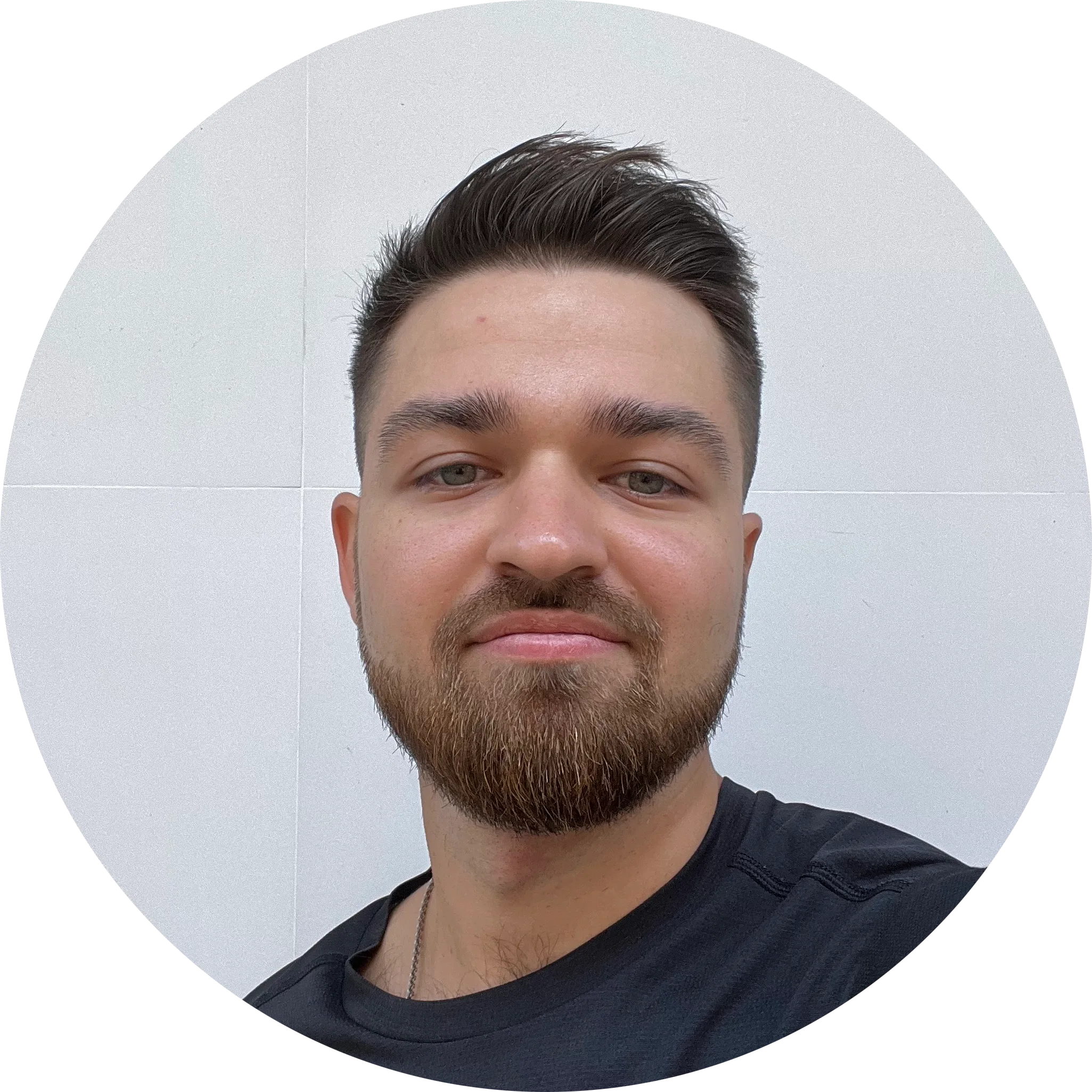 A stylized portrait of Pavel Borodin